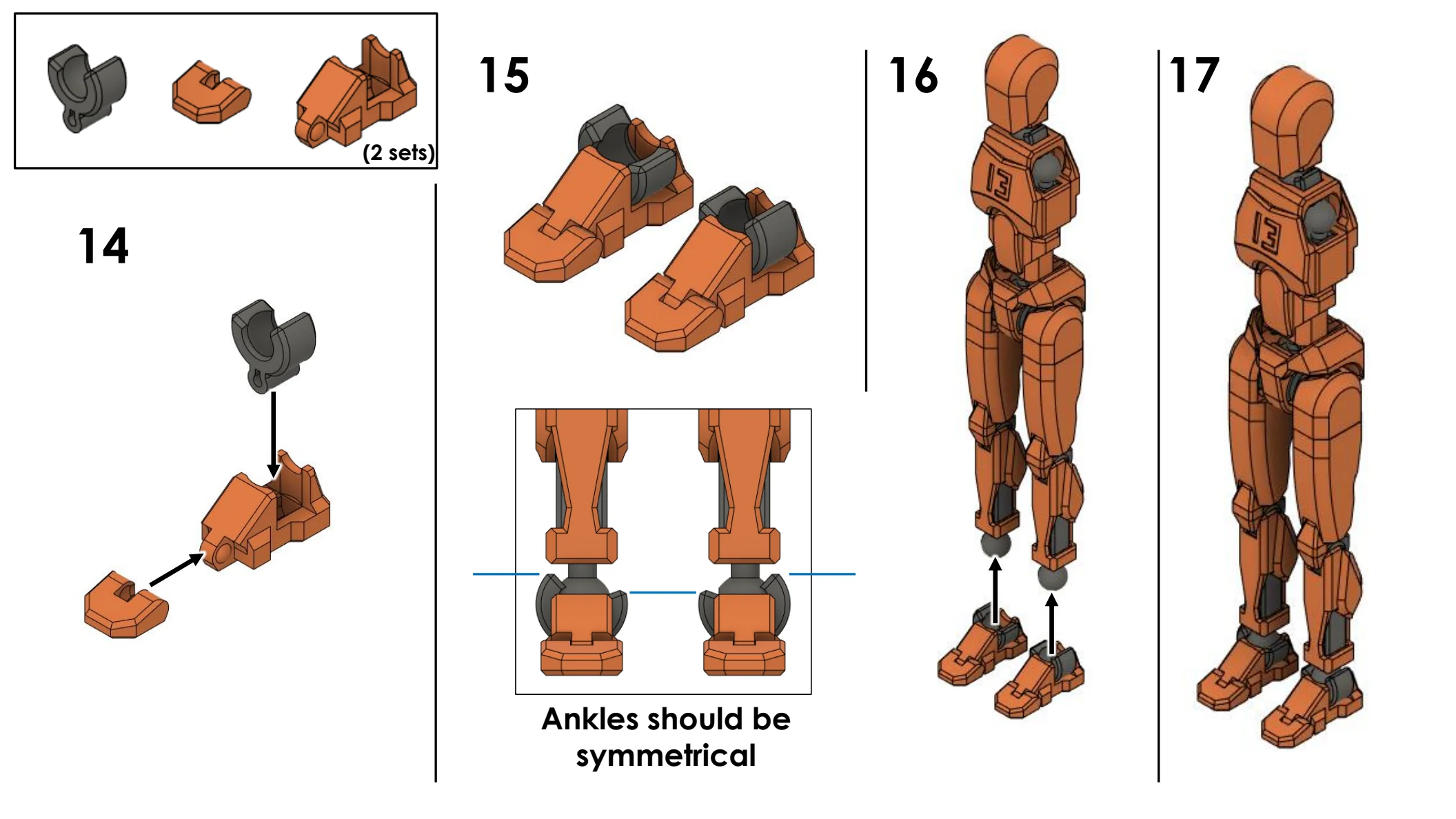 Dummy 13 illustrated feet and ankle assembly steps 13 through 16